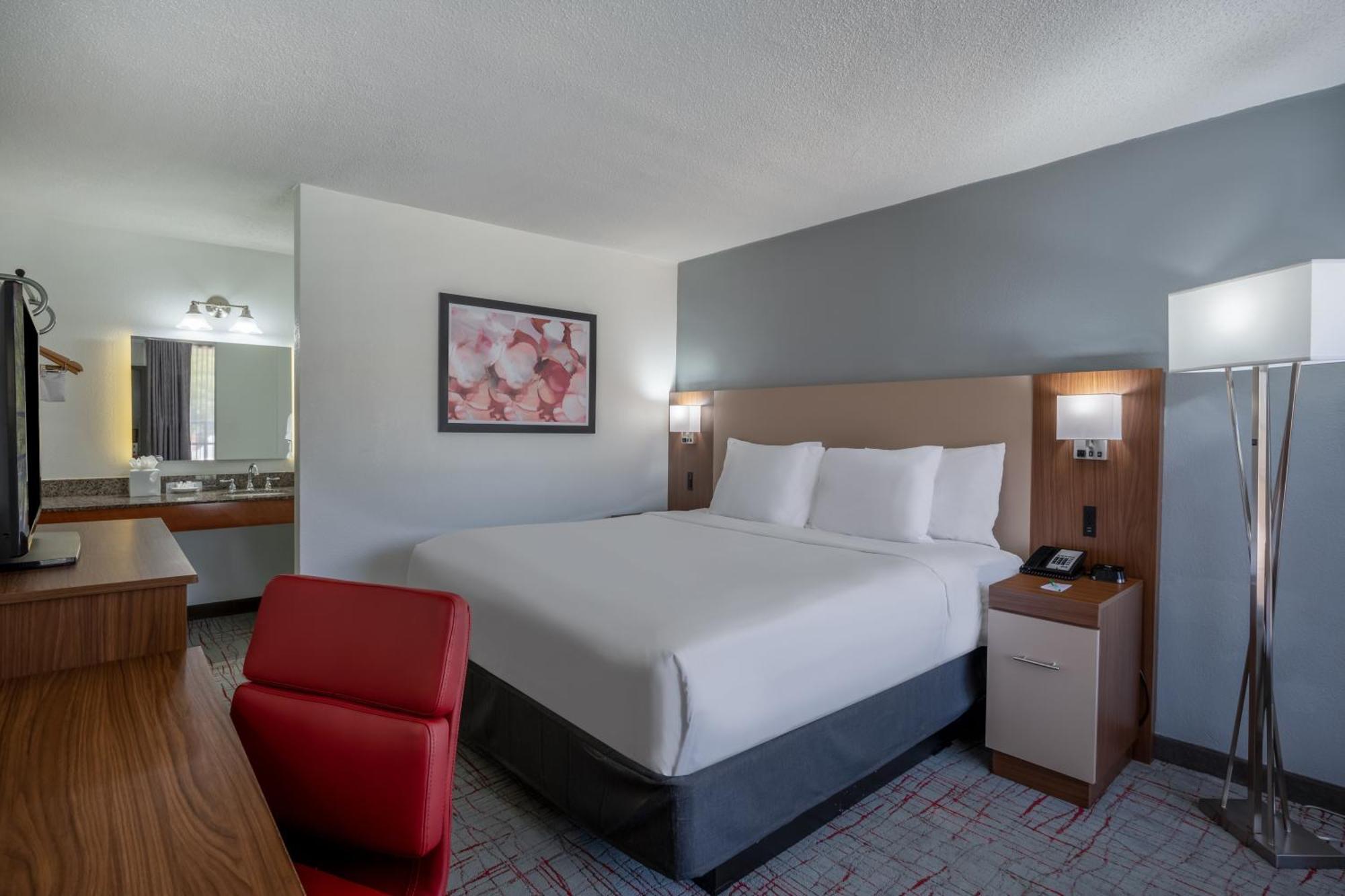 Wyndham Garden Columbia-Ft Jackson Hotel Buitenkant foto